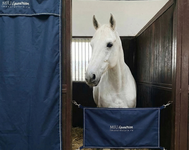 КОНЮШНЯ